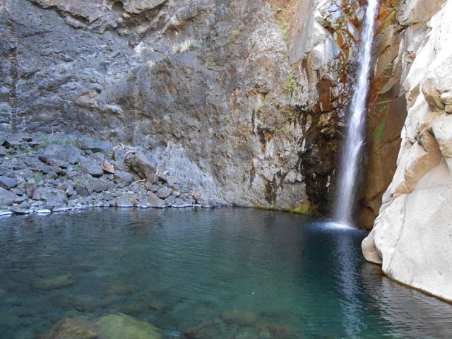 Cascade de Fleurs Jaunes