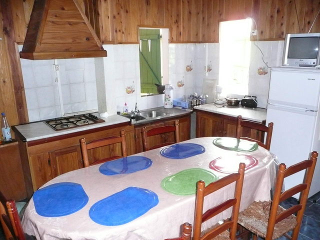 Photo Cryptoméria (Le)