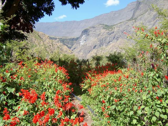 De Dos d’Âne à Cayenne par Deux Bras et retour par la passerelle du Bras d’Oussy