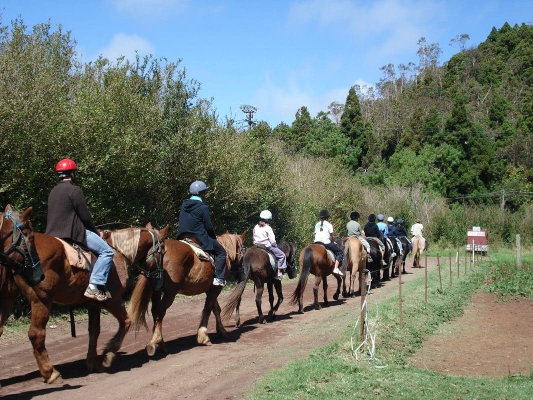 Ecuries du Volcan (Les)