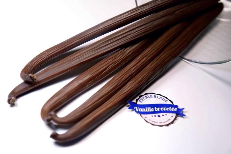 Escale Bleue – Vanille Bleue