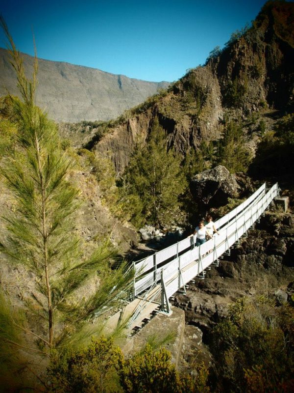 Photo Deux Bras à Cayenne par les passerelles