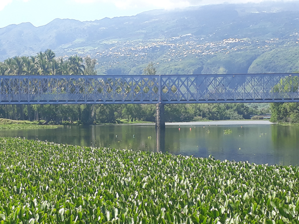 Photo Etang St  –  Paul  – Aire de pique-nique