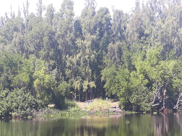 Etang St  –  Paul  – Aire de pique-nique