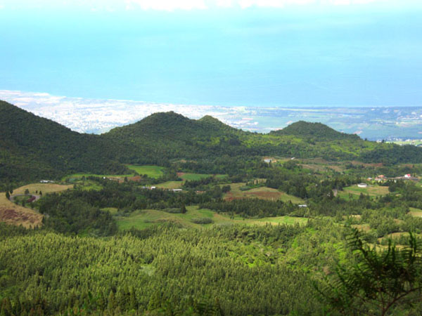 Photo Forêt des Makes – Aire de pique-nique