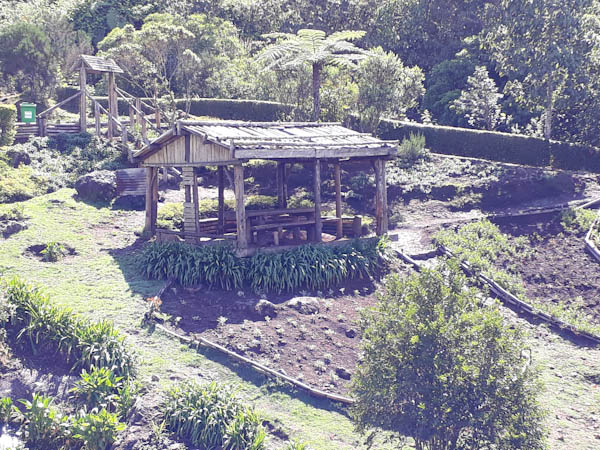 Forêt des Makes – Aire de pique-nique