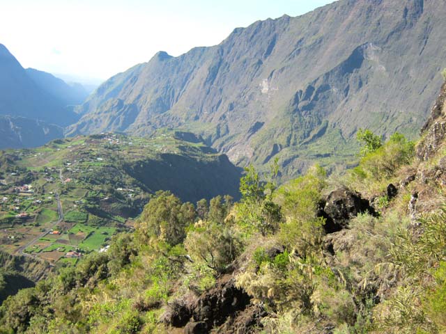 Photo Forêt du Tapcal