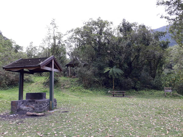 Photo Grand Etang   –   Route forestière – Aire de pique-nique