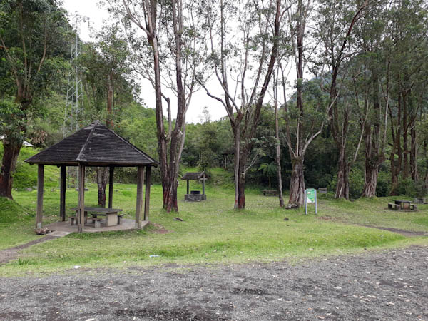 Grand Etang   –   Route forestière – Aire de pique-nique
