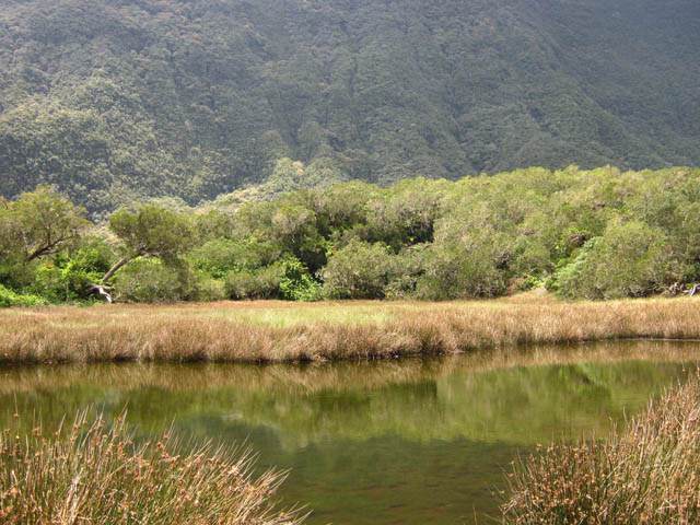 Photo La Grande Mare – Camping nature