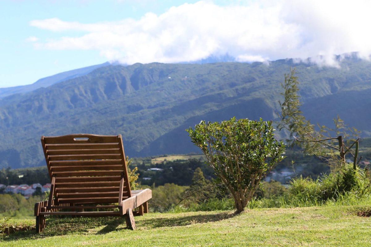 Photo Géraniums (Les)
