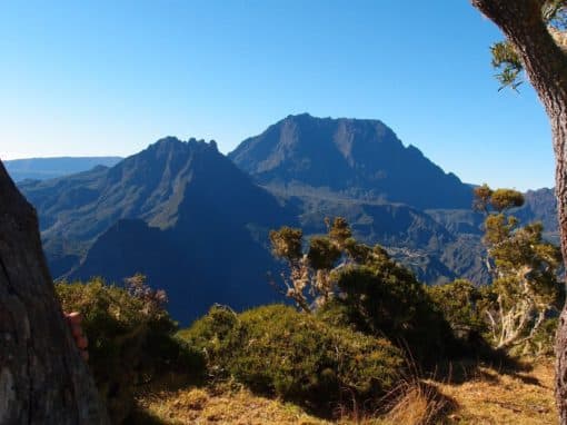 Photo Ilet Alcide – Camping nature