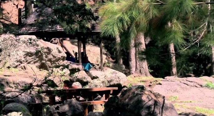 Photo Rivière Fleurs Jaunes – Camping nature