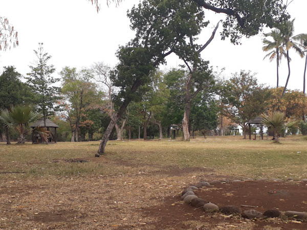 Photo Kiosque de la forêt – Aire de pique-nique