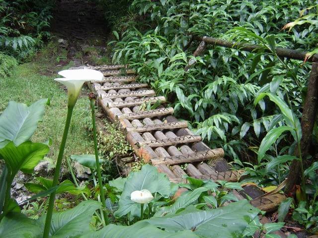 Photo La Boucle de Terre Plate et les Sources Manouilh
