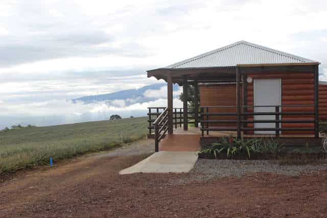 La Maison de L’Ananas