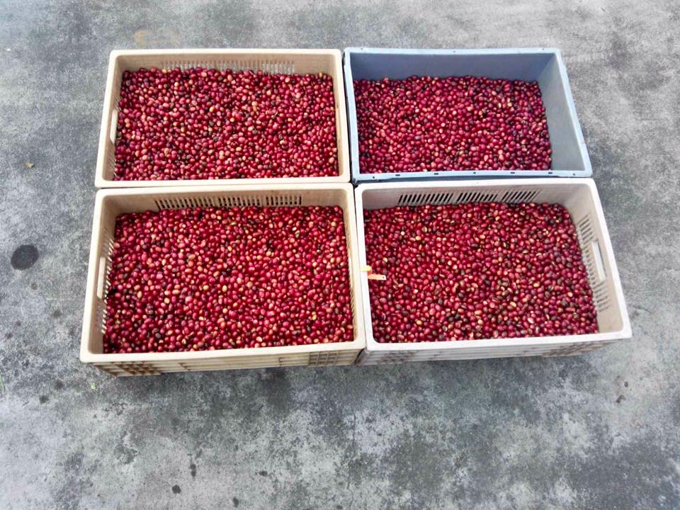 Photo La Maison du Laurina