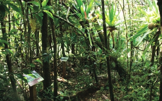 La boucle de Sainte-Marguerite