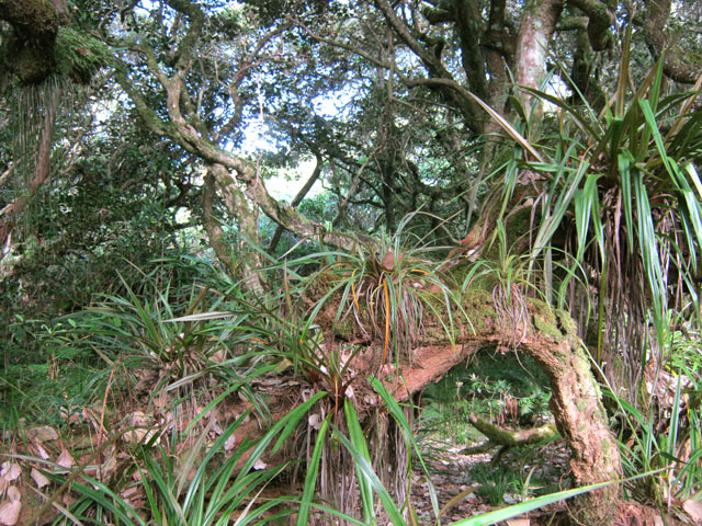 La boucle du sentier botanique Notre-Dame de la Paix