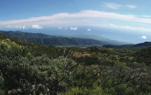 La promenade des Pitons