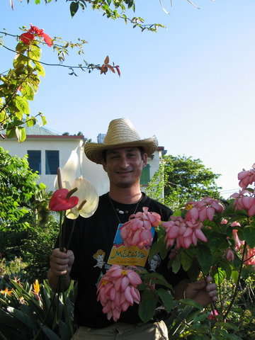 Photo Le Jardin de Cendrillon