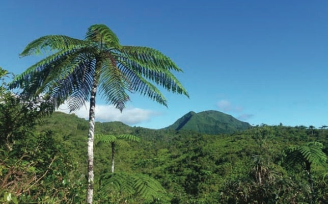 Le belvédère de l’Éden