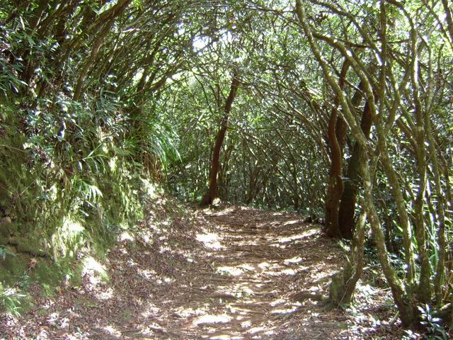 Photo Le circuit des Ravenales à Chemin de Ceinture
