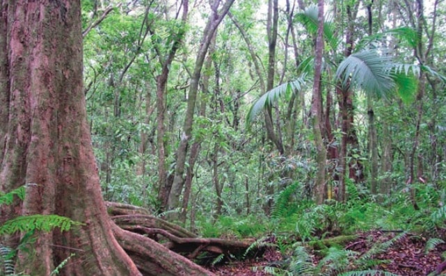 Le sentier botanique de Mare-Longue