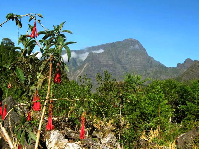 Photo Le sentier des Sources à Bras Sec