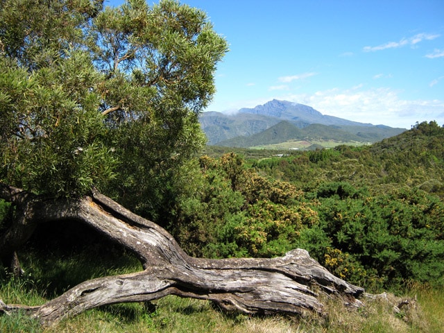 Photo Le tour de Bourg Murat par les pitons Dugain, Desforges et Darid