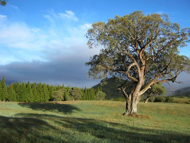 Piton Sec – Camping nature