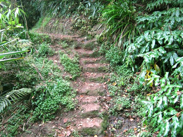 Photo Le tour du Pic Adam depuis Bois de Nèfles