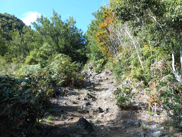Photo Le tour du Piton Maillot depuis la Mare à Vieille Place
