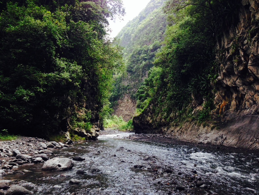 Photo Les Gorges du Bras de la Plaine par le Dassy