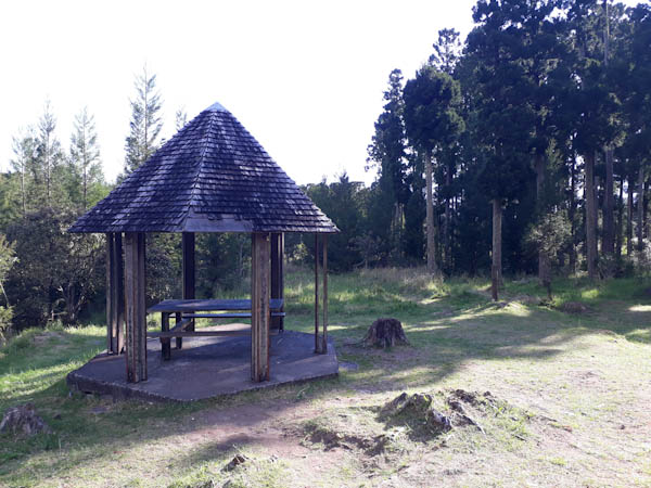 Mare à Joseph   –   sud – Aire de pique-nique