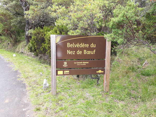 Photo Nez de Bœuf   –   Route forestière Volcan – Aire de pique-nique