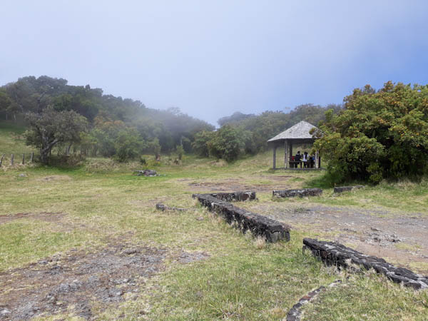 Nez de Bœuf   –   Route forestière Volcan – Aire de pique-nique
