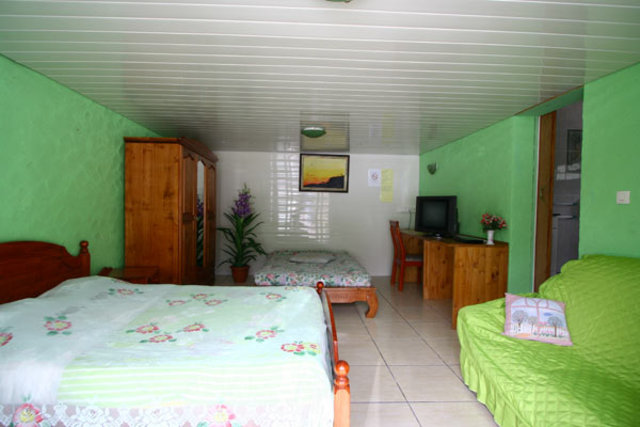 Photo Orchidée Rose (L’)