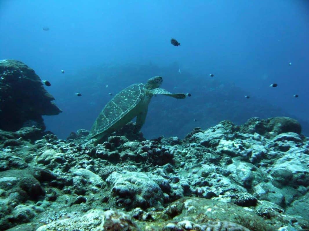 Passe de l’Ermitage