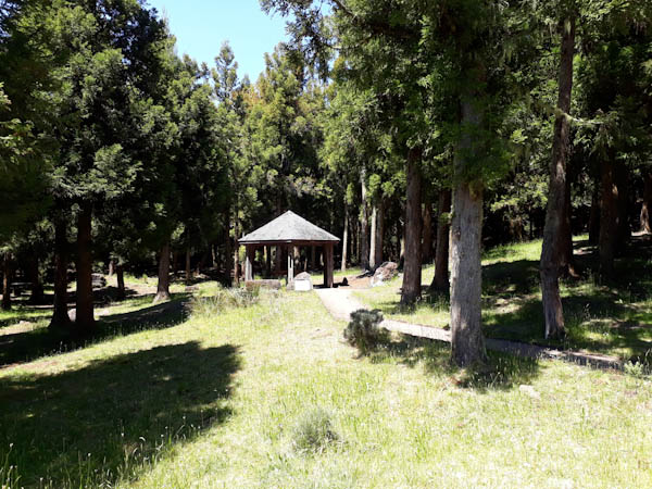 Piton Sec   –   Route forestière Piton Guichard – Aire de pique-nique