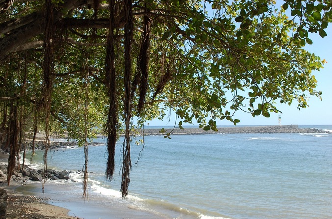 Photo Plage de Terre Sainte