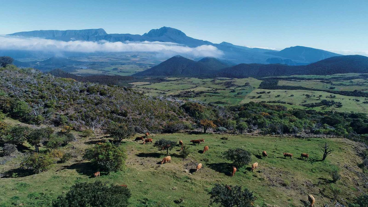 Photo La Plaine des Cafres