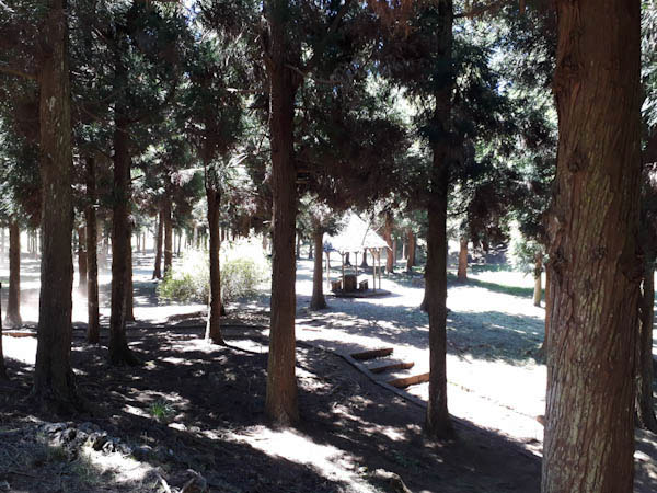 Plaine des Cafres – Aire de pique-nique