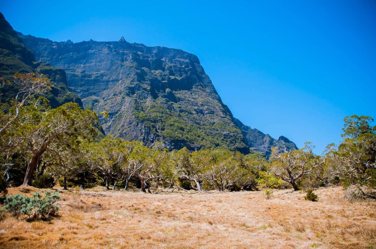 Plaine des Tamarins – Camping nature