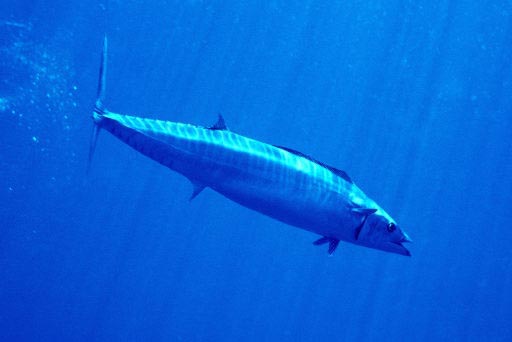 Photo Grand tombant de La Possession