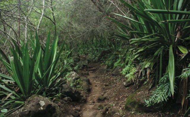 Photo Le randocroquis de Coteau Sec