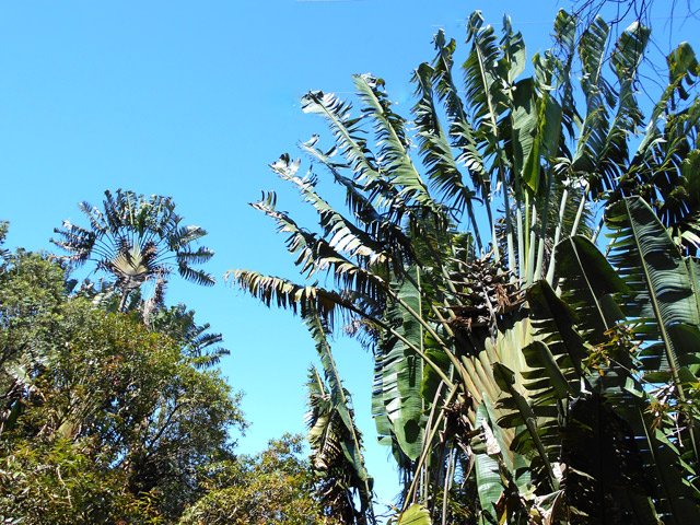 Photo Le circuit des Ravenales à Chemin de Ceinture