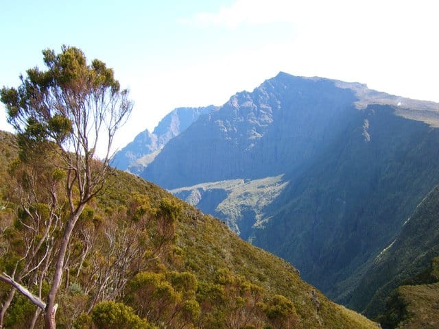 Photo Le Sentier Jacky Inard par le Sentier Mal au Ventre et la Ligne Domaniale