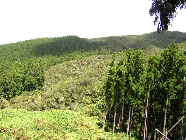 Photo Le Brûlé – Mamode Camp – Camping nature