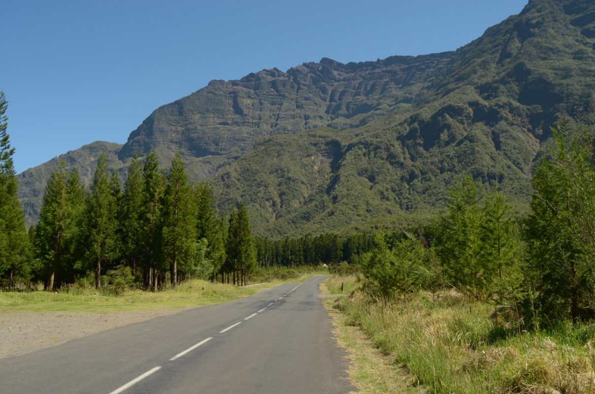 Photo Route Forestière à Bras Sec – Camping nature